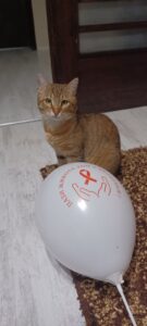 Международният ден за съпричастност със засегнатите от ХИВ/СПИН